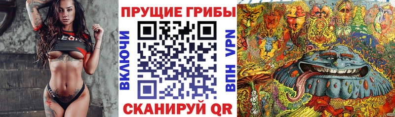 Галлюциногенные грибы мицелий  Североуральск 