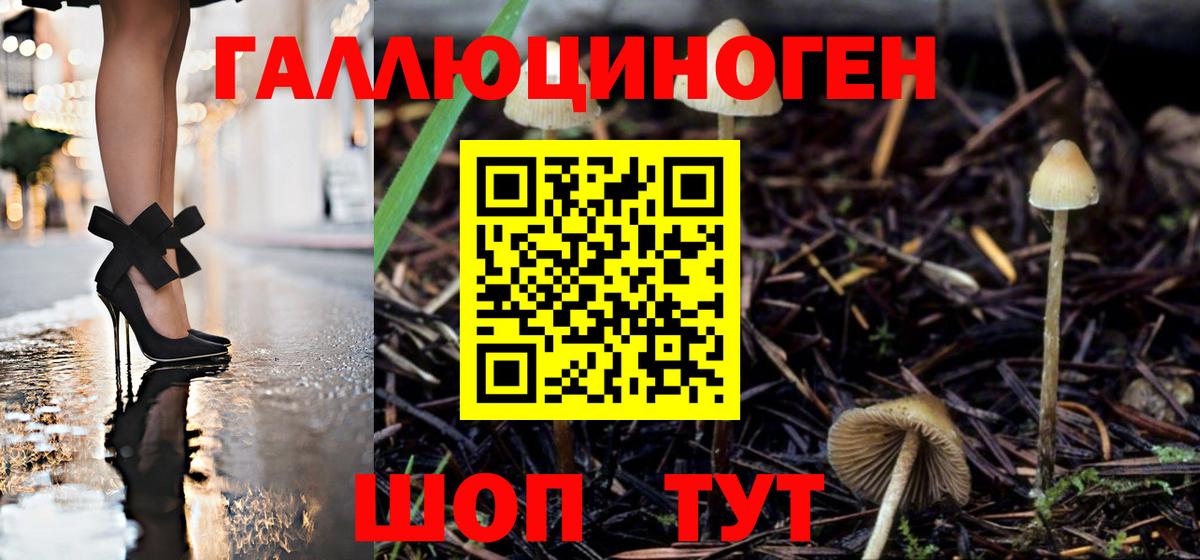 Псилоцибиновые грибы MAGIC MUSHROOMS  Галлюциногенные грибы прущие грибы  Североуральск  Вход с VPN 